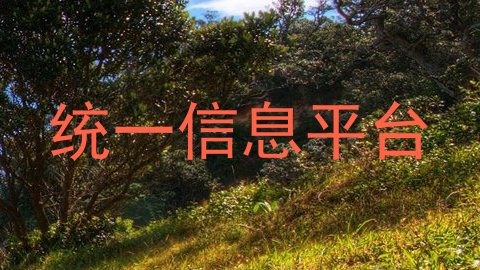 统一信息平台