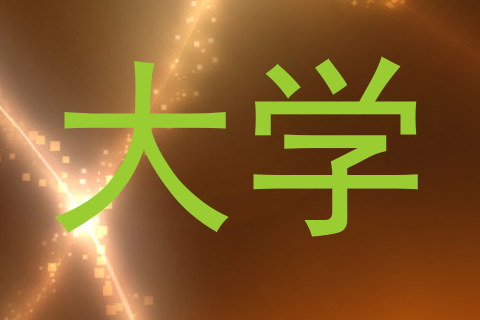 大学