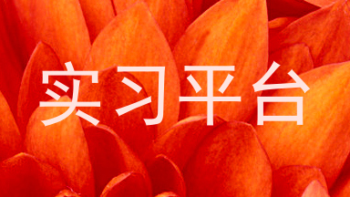 实习平台