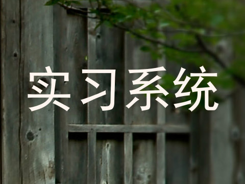 实习系统