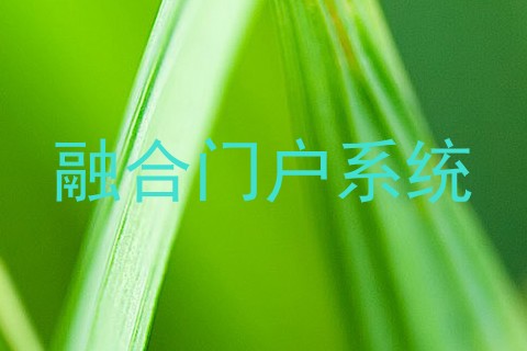融合门户系统