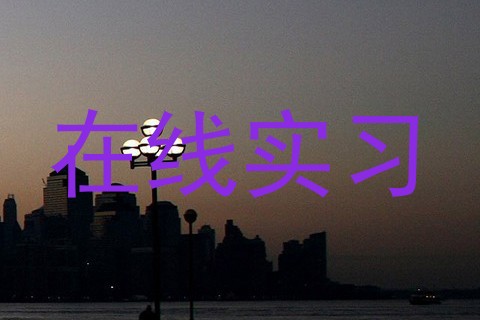 在线实习