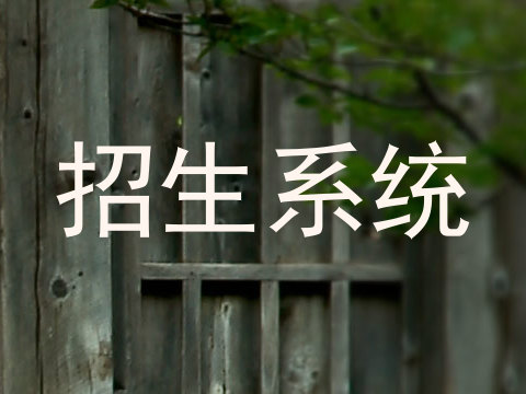 招生系统