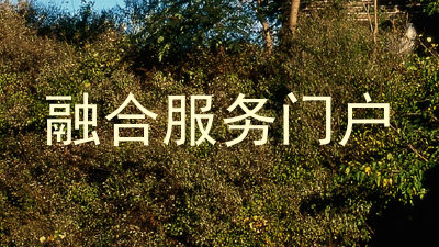 融合服务门户