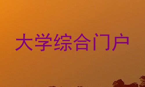 大学综合门户