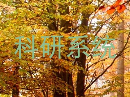 科研系统