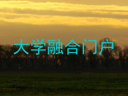 大学融合门户