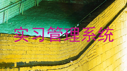 实习管理系统