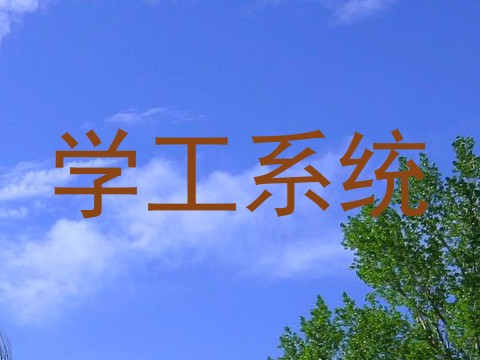 学工系统