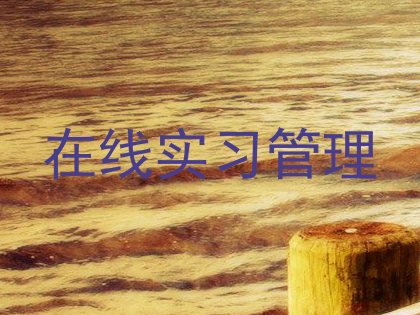 在线实习管理