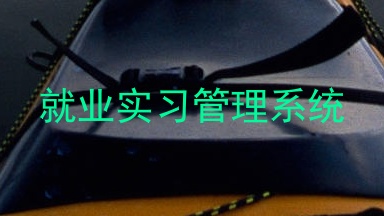 就业实习管理系统