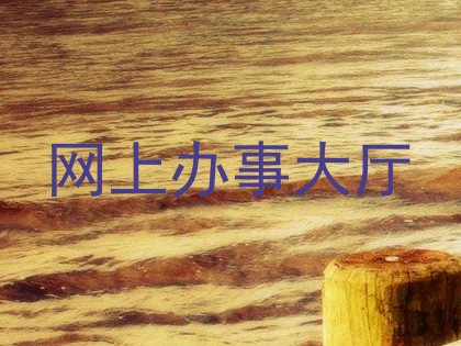 网上办事大厅