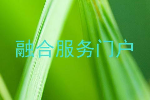 融合服务门户