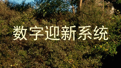 数字迎新系统
