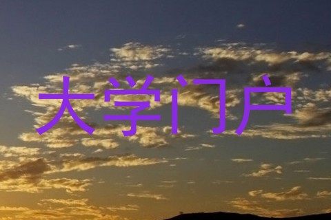 大学门户
