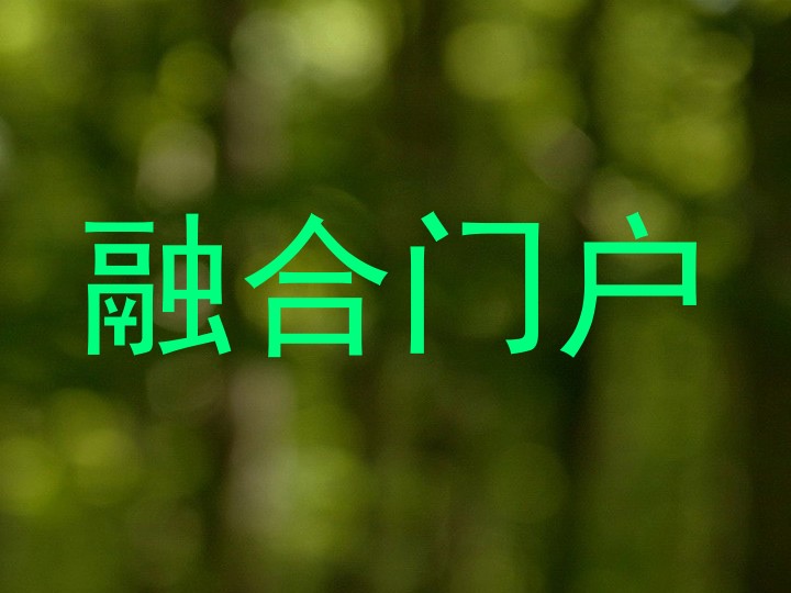 融合门户