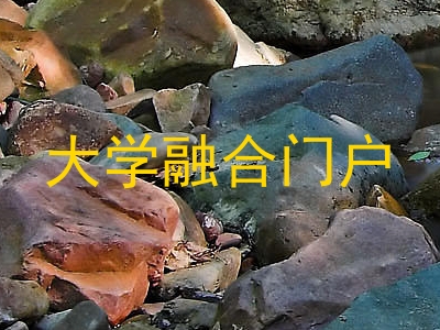大学融合门户