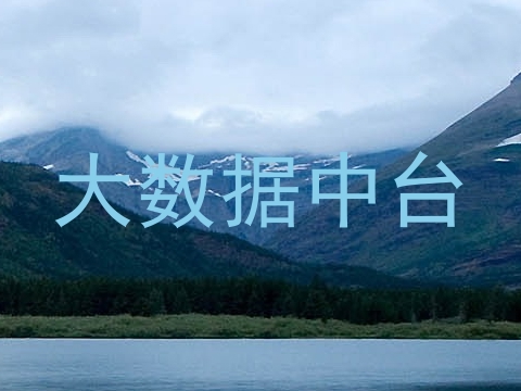 大数据中台