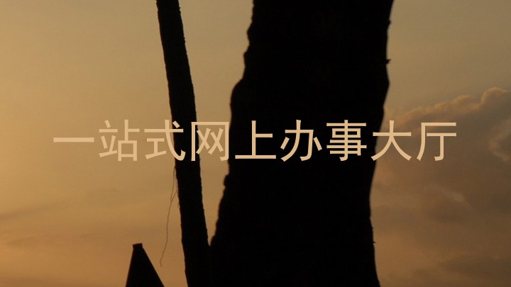 一站式网上办事大厅