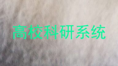 高校科研系统