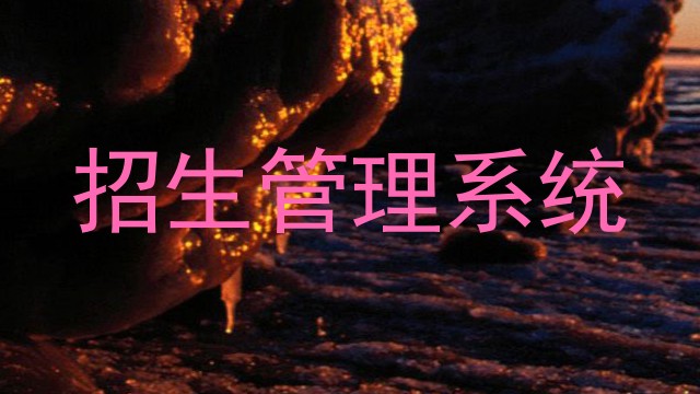 招生管理系统