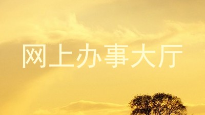 网上办事大厅