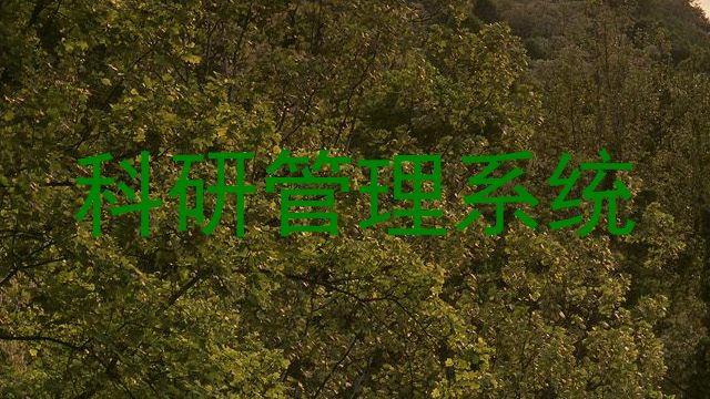 科研管理系统