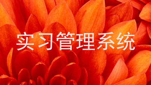 实习管理系统