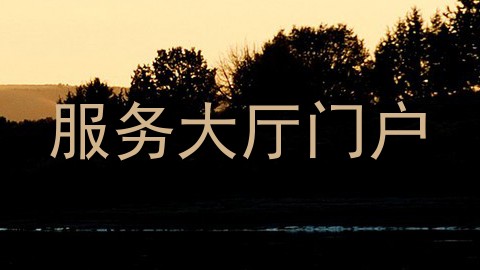 服务大厅门户