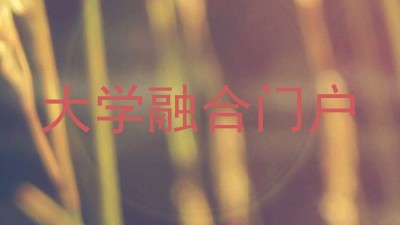 大学融合门户