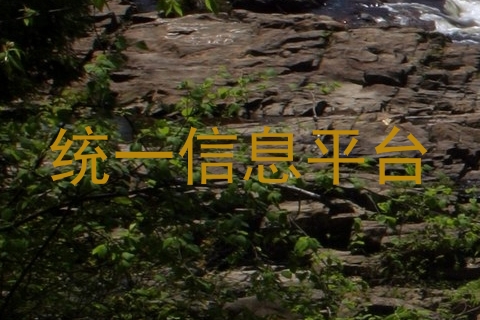 统一信息平台