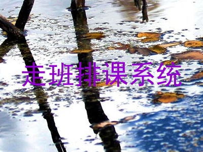 走班排课系统
