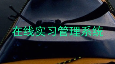 在线实习管理系统