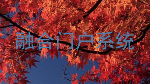 融合门户系统