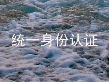 统一身份认证