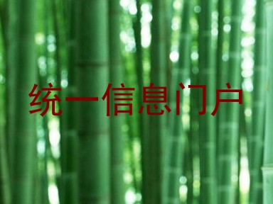 统一信息门户