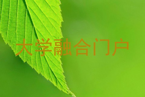 大学融合门户