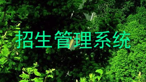 招生管理系统