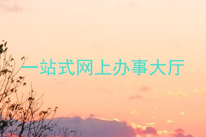 一站式网上办事大厅