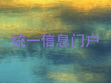 统一信息门户