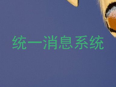 统一消息系统