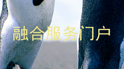 融合服务门户