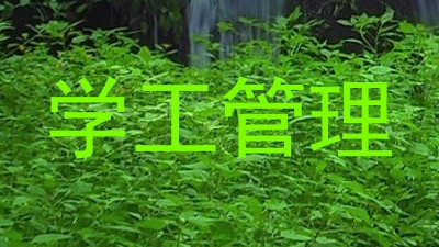 学工管理
