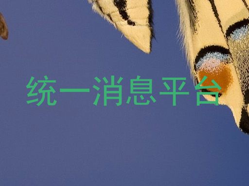 统一消息平台