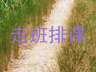 走班排课