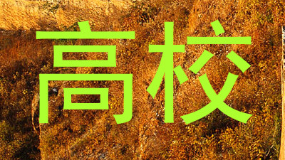 高校