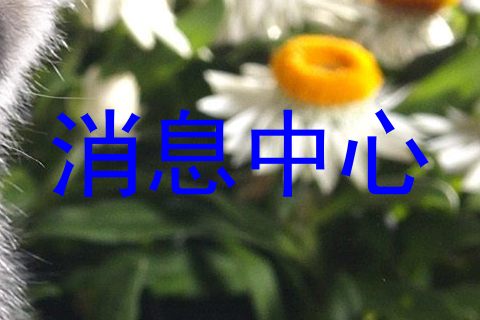 消息中心