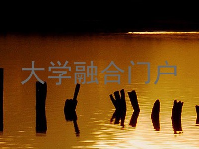 大学融合门户