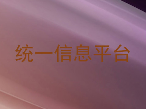 统一信息平台