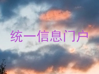 统一信息门户